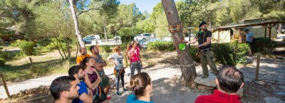 Team Building Activities en Mallorca